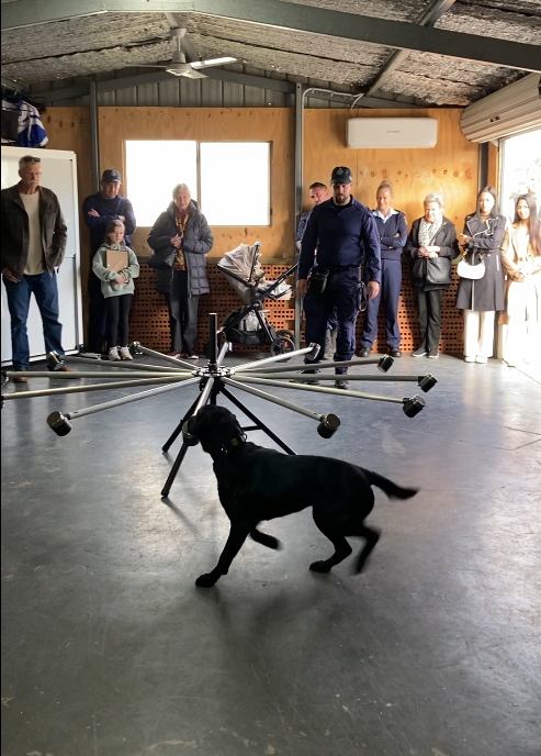 Drug detection dog sniffing at cans attached to arms around a central spoke  